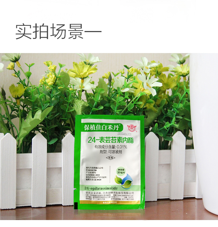 大丰收24表芸苔素内酯水稻小麦保花保果增产解药害促进生长调节剂100
