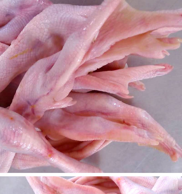 鹅掌鲜脚掌冻新鲜鹅爪生鹅脚生鲜食材 现杀新鲜鹅爪3斤【图片 价格