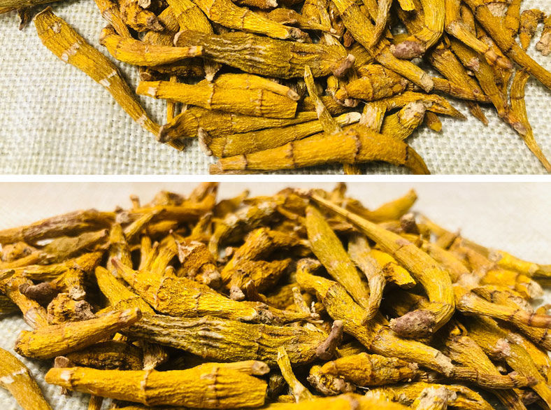 秄花槲 大颗克 官网 秄花槲子花籽花斛 秄芽斛 甄选精品秄花斛100克