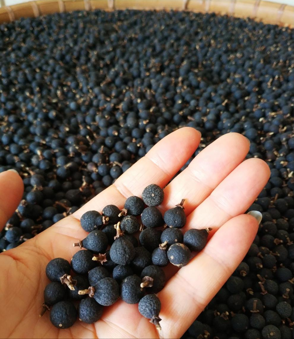 8折 广东特产新会陈皮小柑胎树剪带蒂生晒柑胎仔柑胎果500g 2020年带