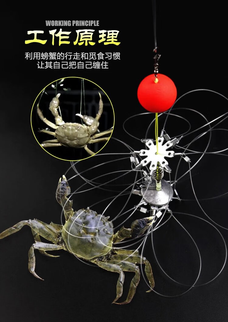 钓螃蟹神器螃蟹钩自动捕蟹套螃蟹圈抓大闸蟹河蟹毛蟹螃蟹笼钓青蟹专用