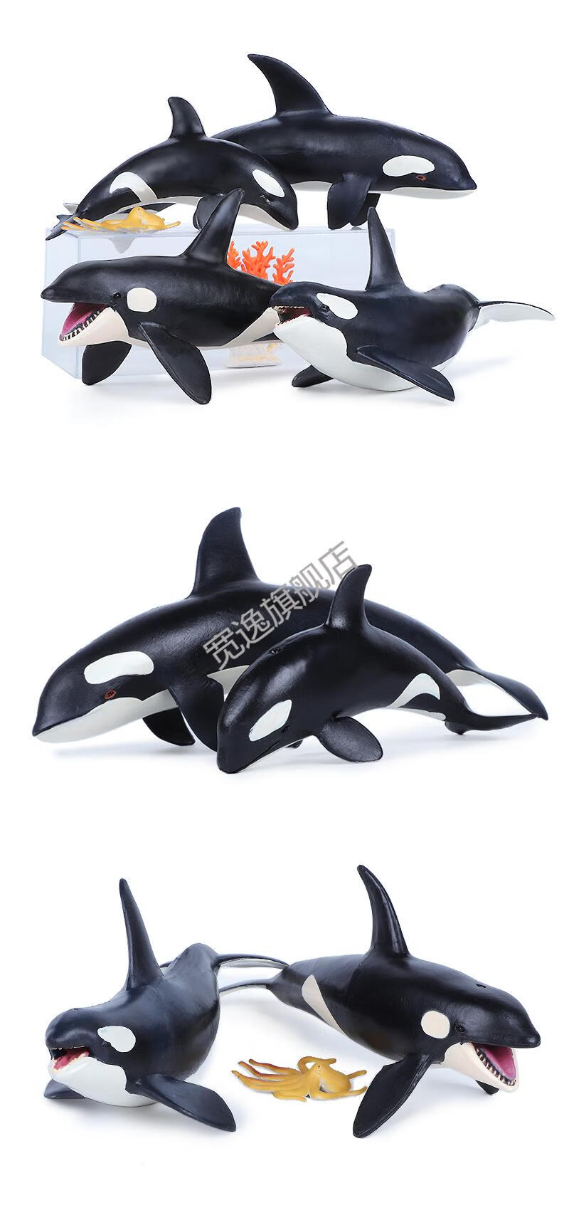 仿真虎鲸玩具海洋动物模型杀人鲸海底生物鲸鱼男科教认知礼物 小虎鲸