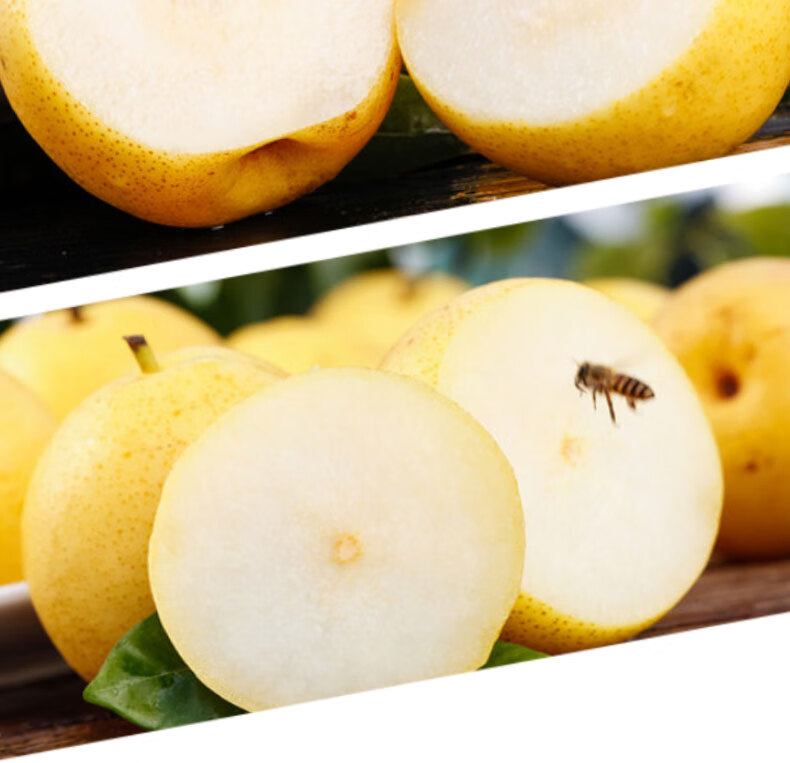 东北小香水梨新鲜水果软糯多汁小香梨东北特产应季水果5斤装 实惠