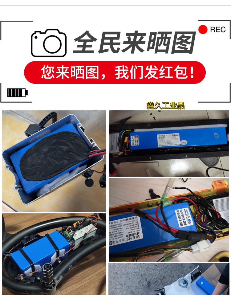 车36v锂电池48v电瓶24伏代驾折叠自行车单车于希洛普加强型48v20ah