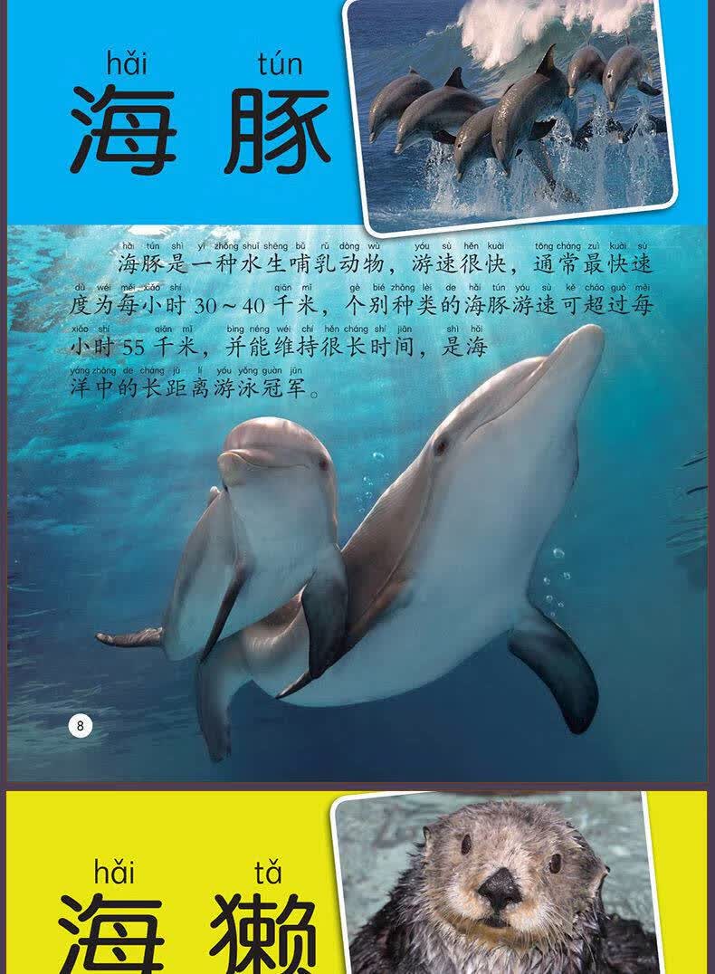 海洋动物大百科动植物大百科全书百科全套幼儿绘本科普认知故事书海洋