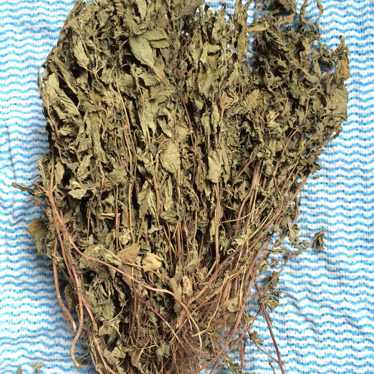 年貨節5折 仙草幹新鮮草幹高膠質黑涼粉草 燒仙草原料仙草蜜仙草凍