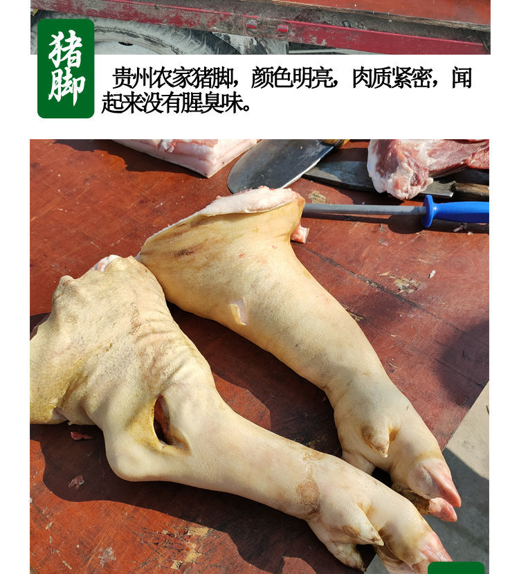 贵州新鲜前猪蹄猪脚整只后猪肘子猪蹄膀生猪手批发昌隆福记 6斤后猪脚