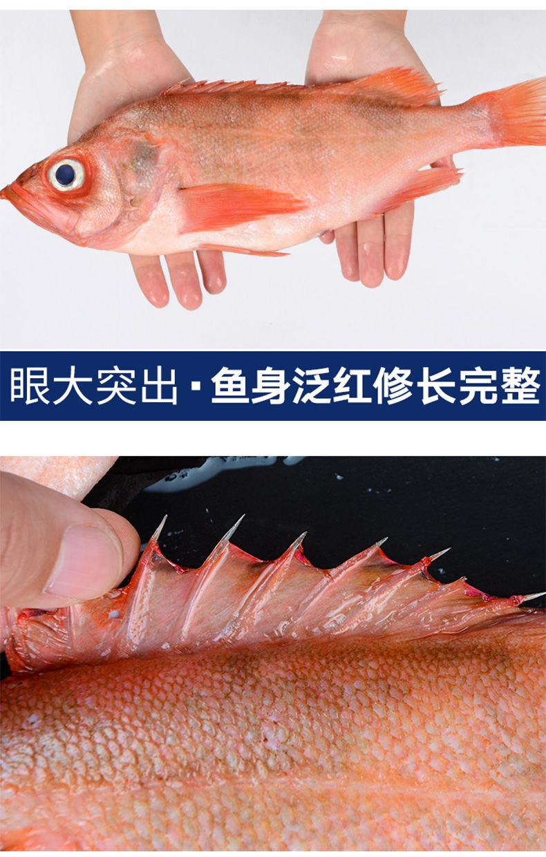 大眼鱼假冒红石斑鱼图片