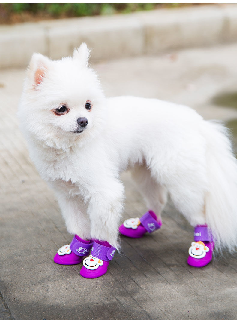 狗狗雨鞋春夏季泰迪比熊小型犬防水鞋子软底不掉大型宠物通用脚套蜜糖