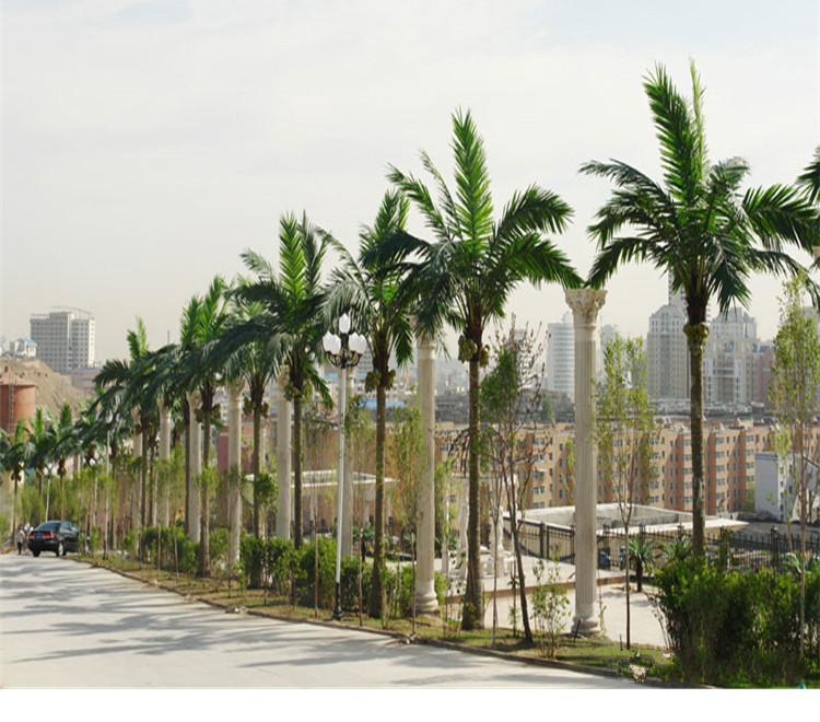 源如盈仿真椰子树大型人造景观树热带绿植装饰假椰树叶子户外假树棕榈