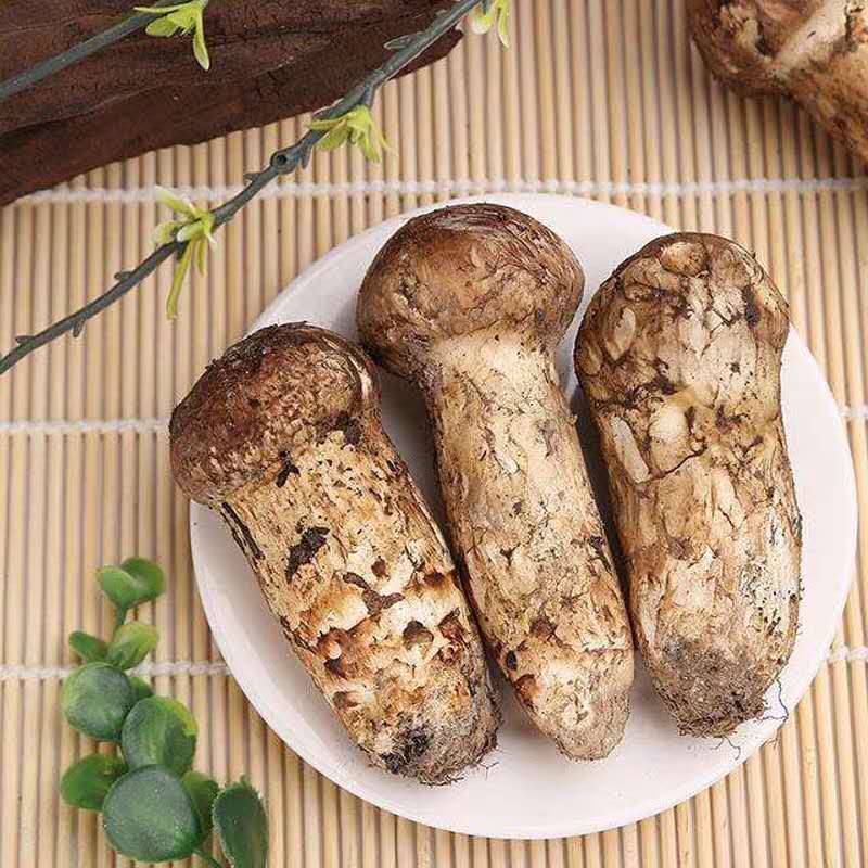 松茸新鲜野生蘑菇菌子现挖500g 鲜松茸小金雅江香格里拉特级6-8cm