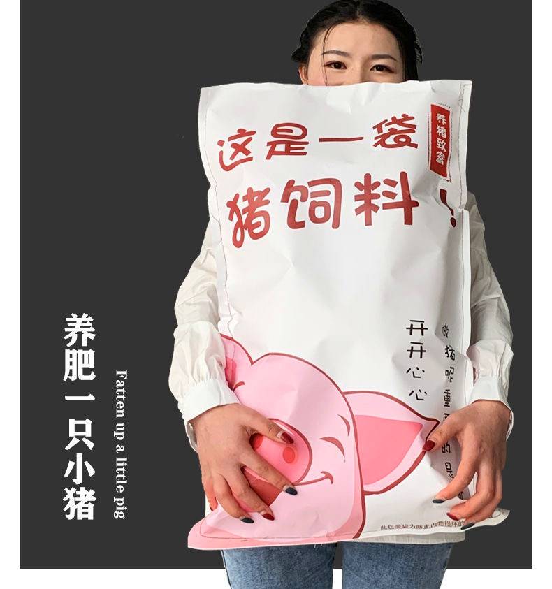 巨型猪饲料零食大礼包 巨型猪饲料零食大礼包带男友女友解馋网红休闲