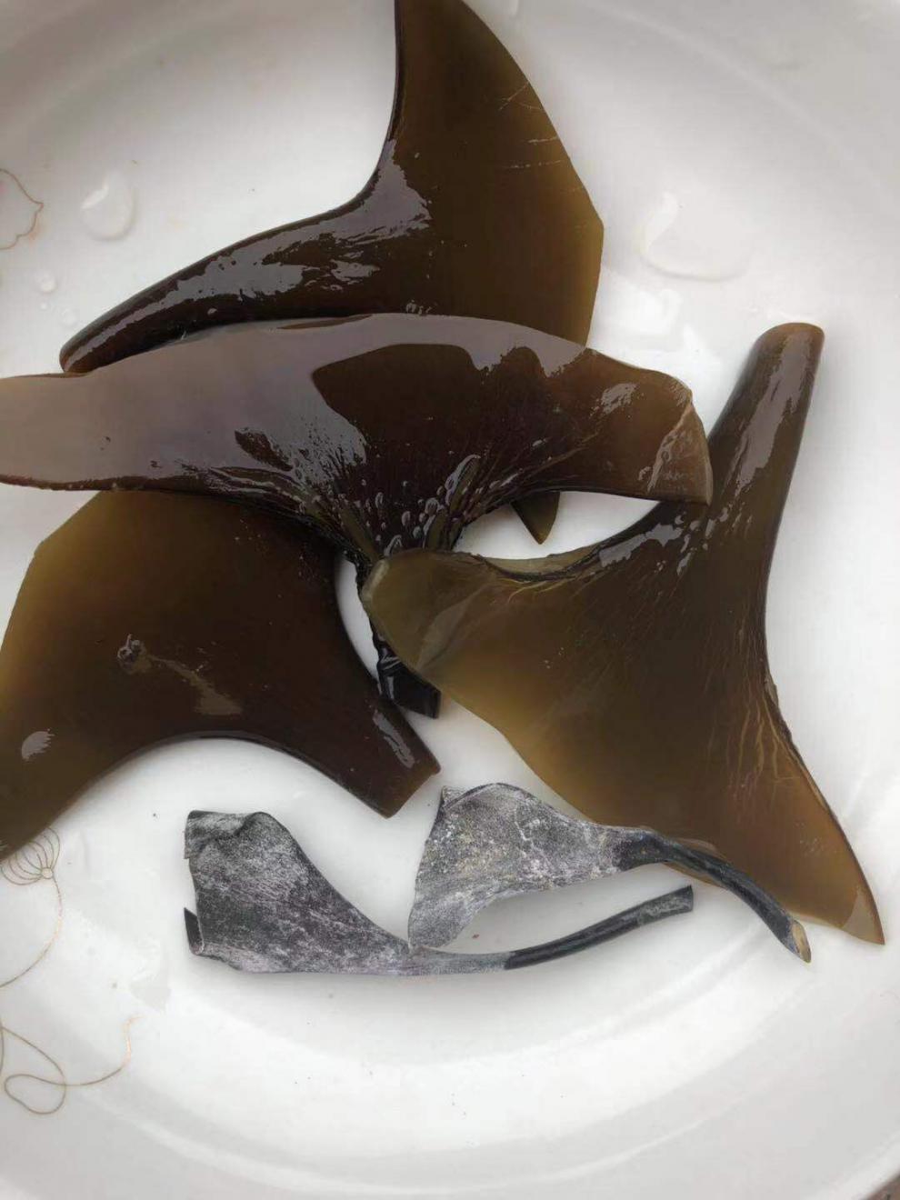 海带头干货福建日晒无沙淡干海带头煲汤卤菜凉拌菜专用 100g【图片