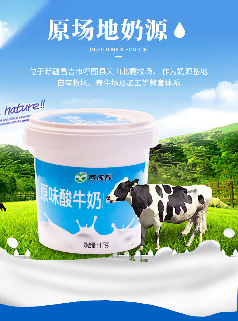 2斤 新疆酸奶西域春大桶酸奶水果捞原味浓缩桶装酸奶 方桶1kg大桶酸奶