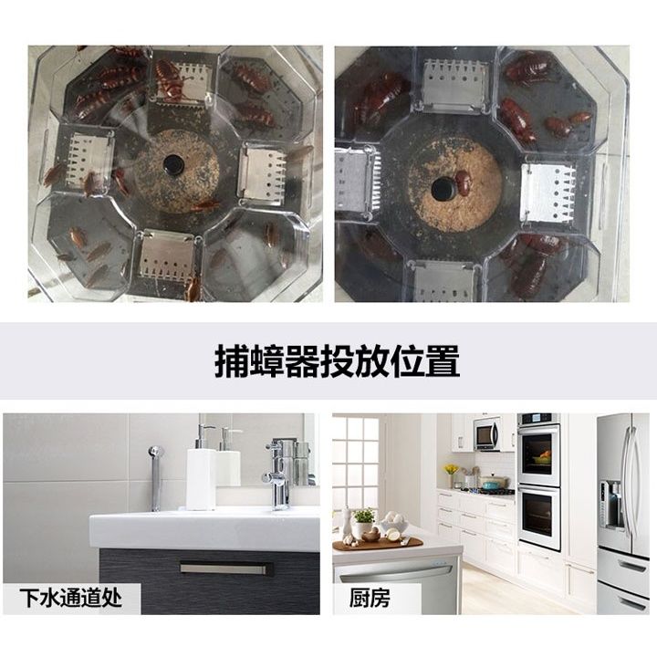 灭蟑螂捕捉器 诱饵 杀蟑螂克星固体全窝端诱捕器家用抓 小强 4个盒子