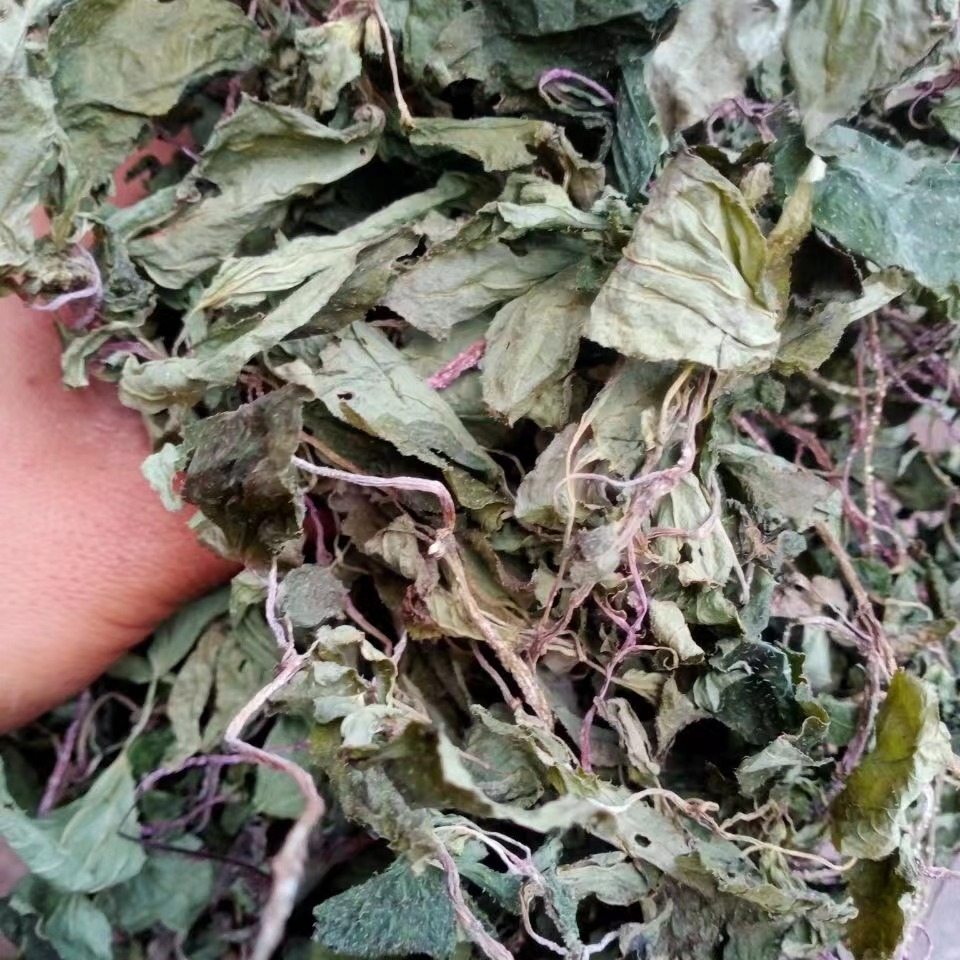 风柜斗草伟博贵州纯野生1斤风柜斗草干货500克风鼓草风谷草红杆风骨草