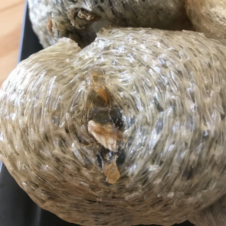 5折 北海特产 已拔刺无刺刺龟鱼皮 野海蒱刺豚鱼皮海胆皮 干货 250g