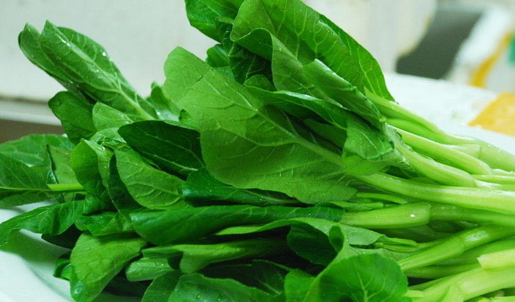 广东四九菜心种子四季播春秋冬季红菜苔青菜种籽蔬菜庭院易种盆栽 10