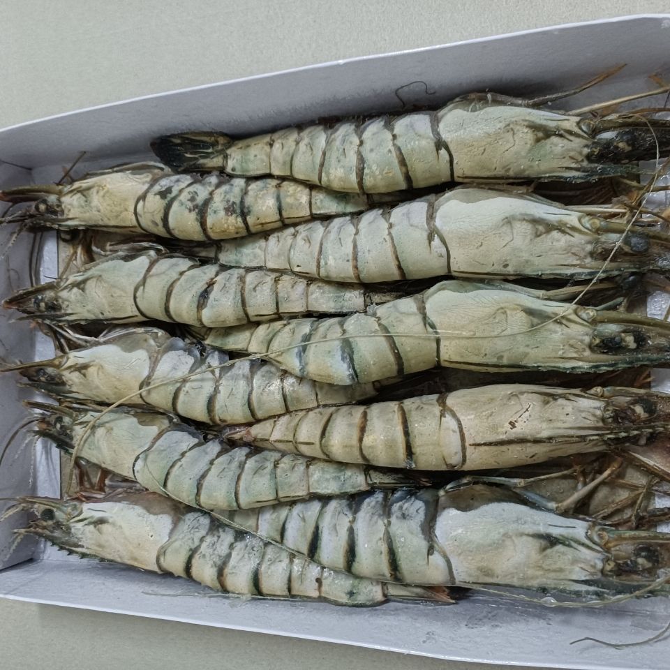 lism深海大虾九节虾斑节黑虎虾新鲜捕捞活虾速冻火锅烧烤美食草虾特大