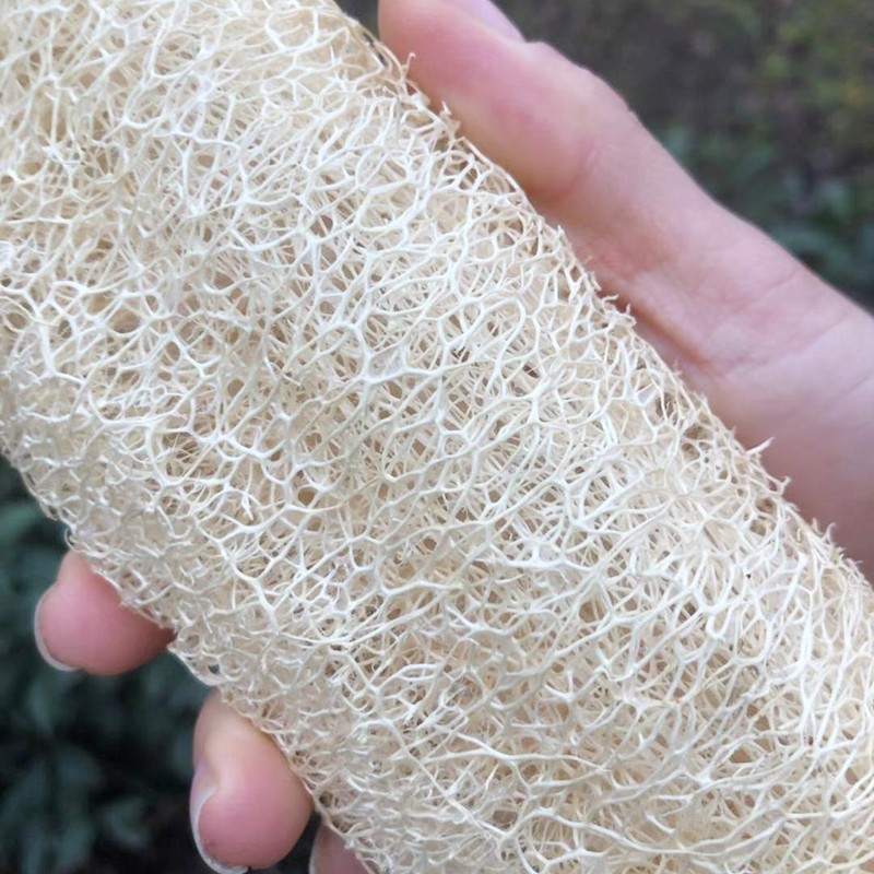 丝瓜络洗碗天然老丝瓜瓤农家干丝瓜筋藤煮水刷锅搓澡巾不带皮长度4045