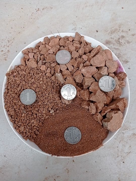 兰灵王风化石颗粒风化土金弹子扦插生根多肉茶花兰花渗水透气酸性营养