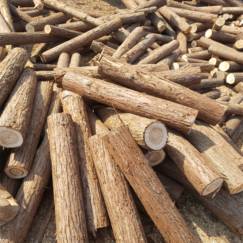 天然树木杉木干树段树桩装饰树干杉木杆枯树杆真树干园林定制智宙 2.