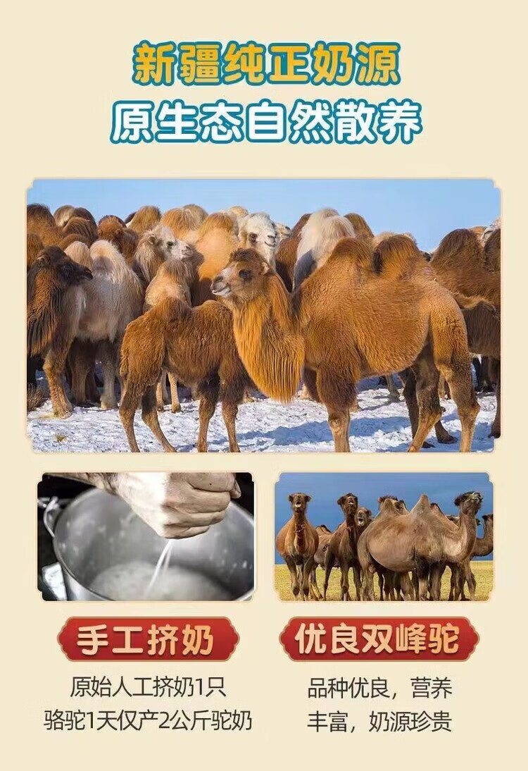 a93666a07bc9ea20.jpg