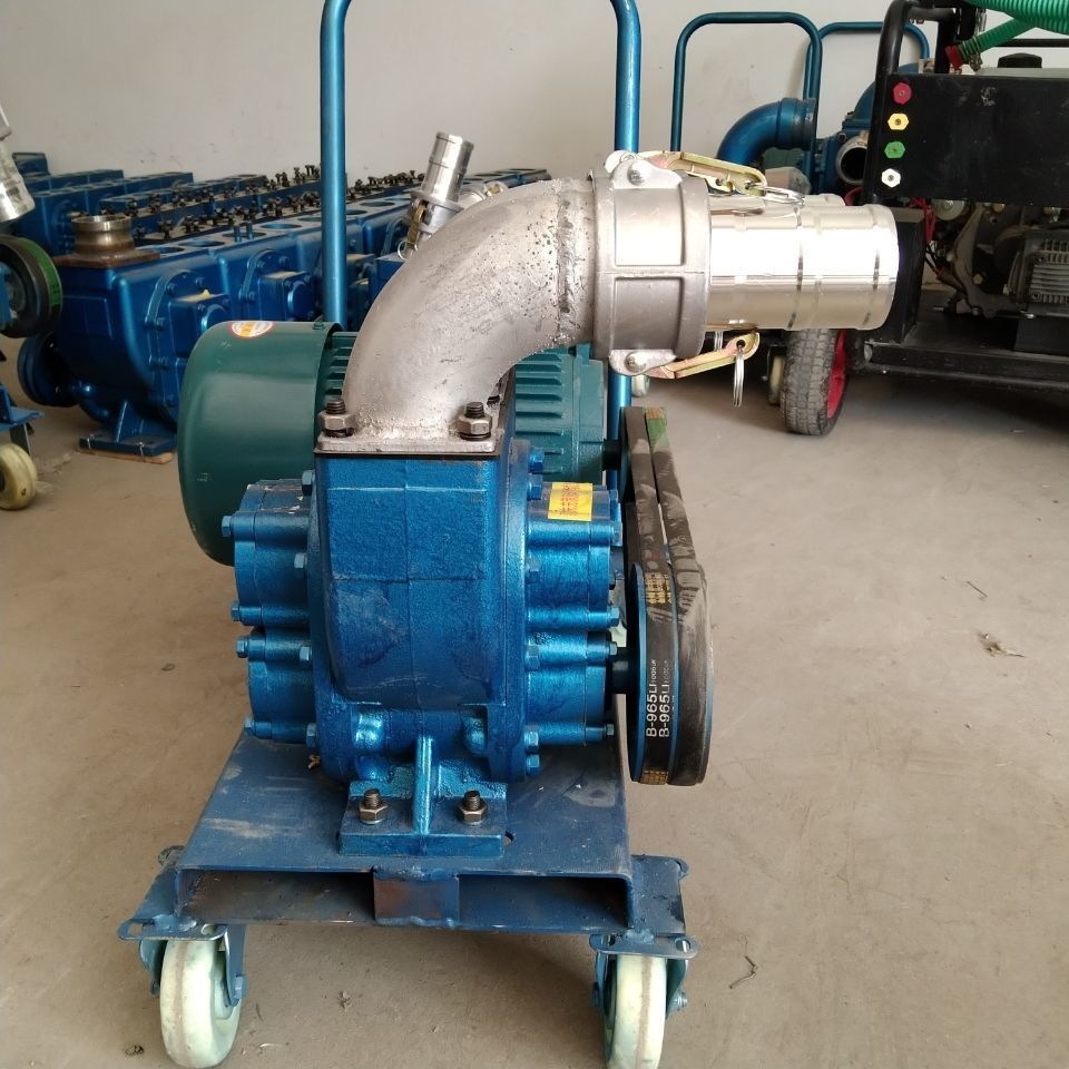 防汛泵浇地泵灌溉泵排水泵排污泵养殖场家用增压泵真空泵大功率 4寸