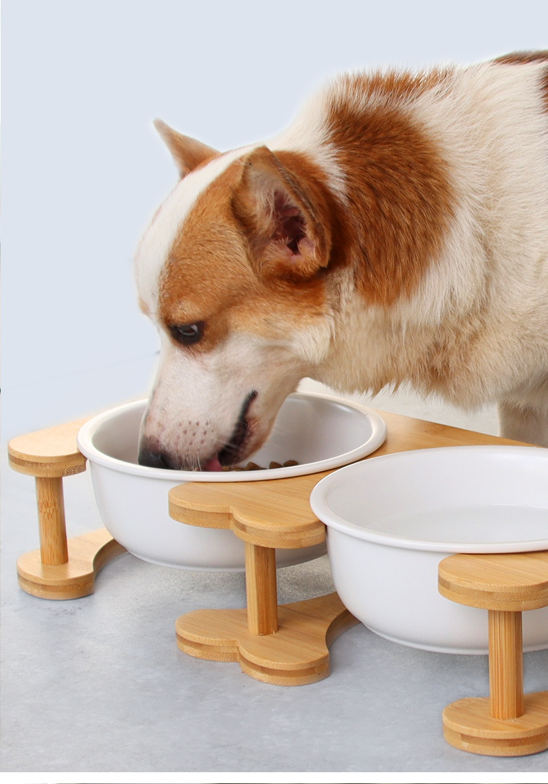 陶瓷狗碗中小型犬狗食盆防打翻泰迪博美犬狗双碗保护颈椎狗碗木架