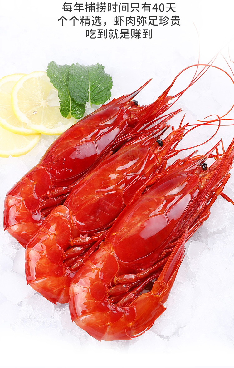 红魔虾网红同款新货东海新鲜绯红虾鲜活冷冻胭脂虾刺身级深海500g2527