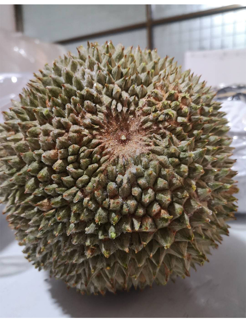 轻恋顺丰ems航空马来西亚黑刺榴莲d200树上熟冷冻新鲜进口高端水果