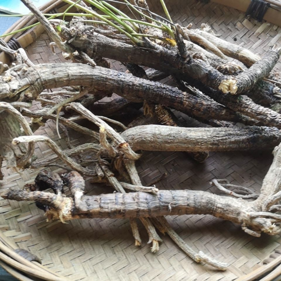 康中尊 贵州野外生岩川芎根干货500克 中药原材料岩防风野川芎光头