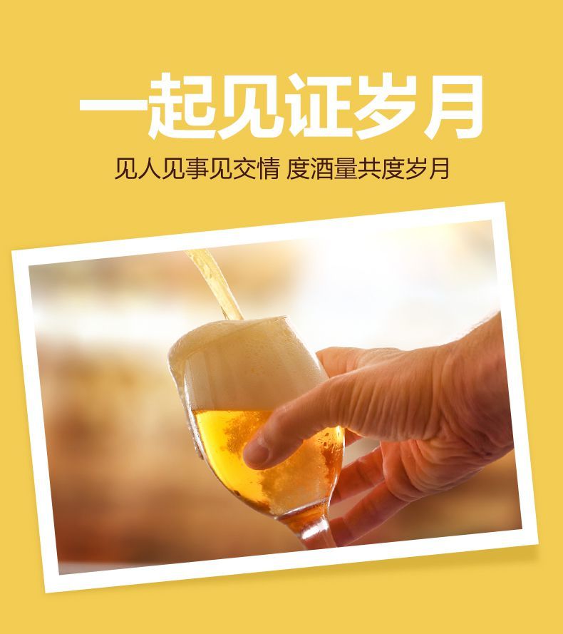 雪花啤酒沈阳经典老雪花 640ml*12大瓶装整箱 闷倒驴 640ml*12瓶