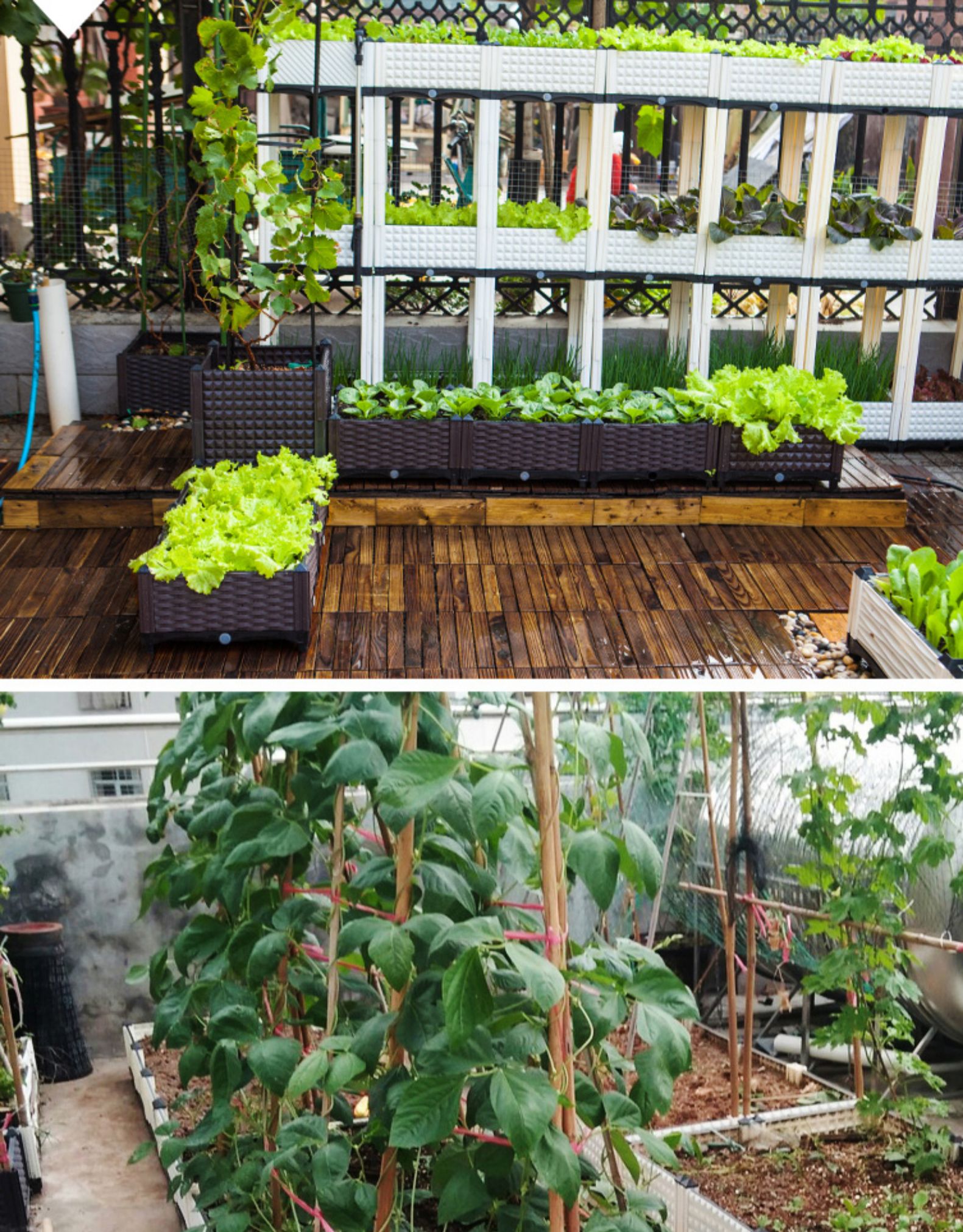 室内种植蔬菜容器家庭阳台种菜箱长方形加厚塑料种植槽楼顶花盆种菜