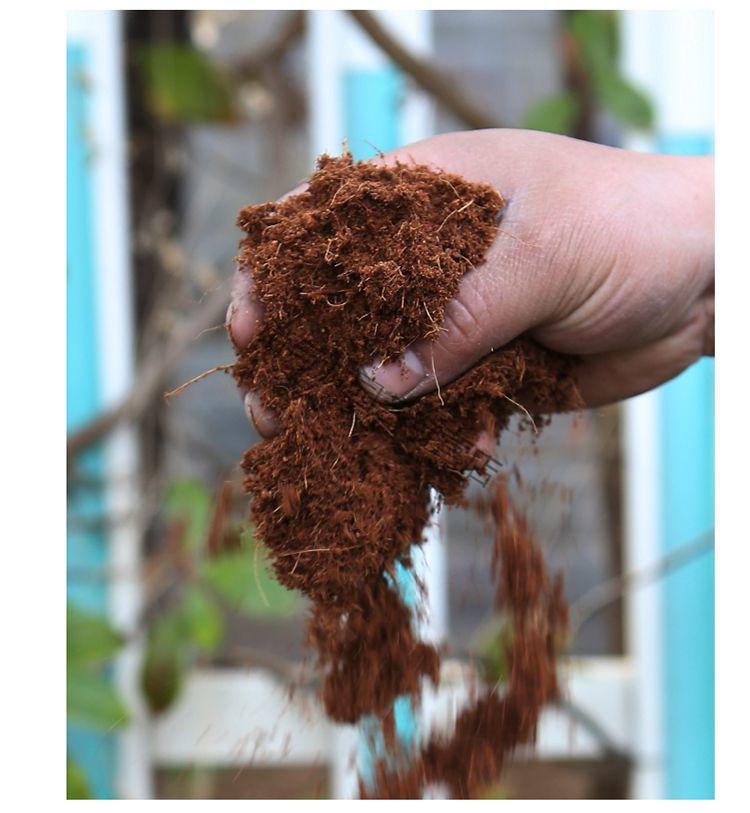 营养土压缩椰粉砖垫材种菜椰砖种花椰土种植椰糠芽菜无土栽培基质 4块
