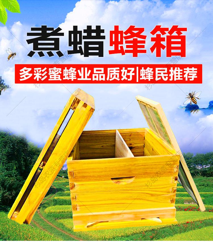 养蜂工具蜂箱中蜂香杉木浸煮蜡蜂箱平箱烘干防晒防水蜜蜂巢箱全套
