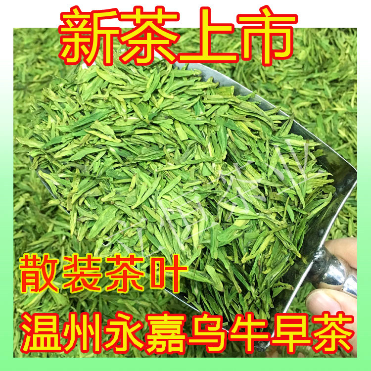 乌牛早茶 2021新茶温州永嘉乌牛早茶明前茶绿茶250g散装乌牛早茶春茶