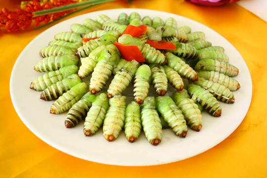 冻嫩茧蛹神仙糖宝薄茧蛹绿色茧蛹蚕茧薄皮柞蚕蛹一份 省外拍4斤装