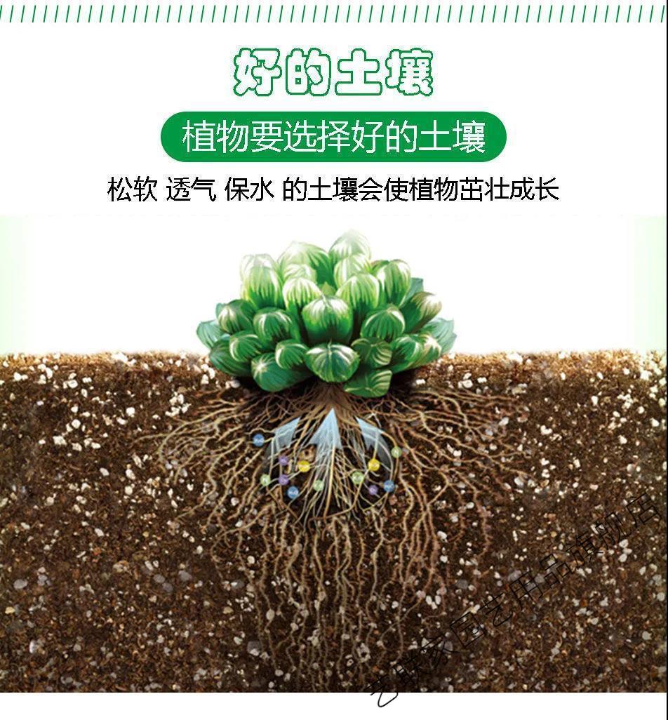 芦荟盆栽专用营养土芦荟土壤家用芦荟专用土种植土养种芦荟的土艺联家