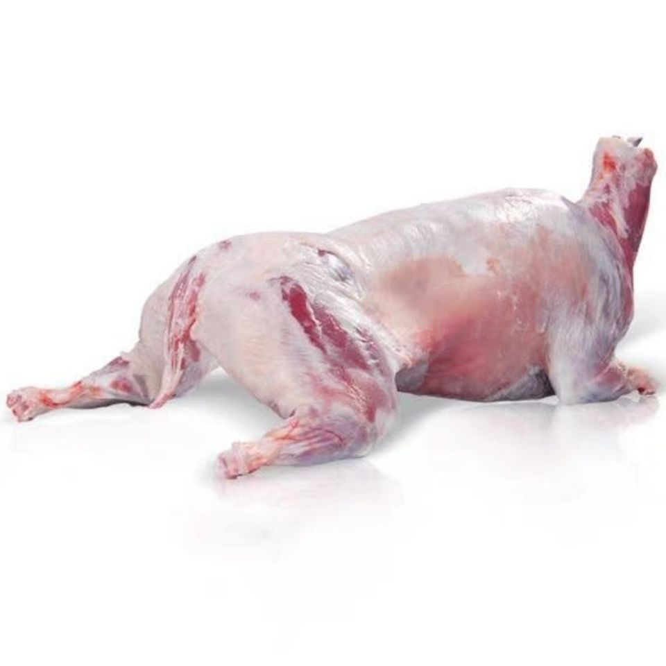 新鲜冷冻羔羊内蒙古烤全羊羔羊全羊鲜冻白条羊全羊整只烤全羊鲜杀欧登