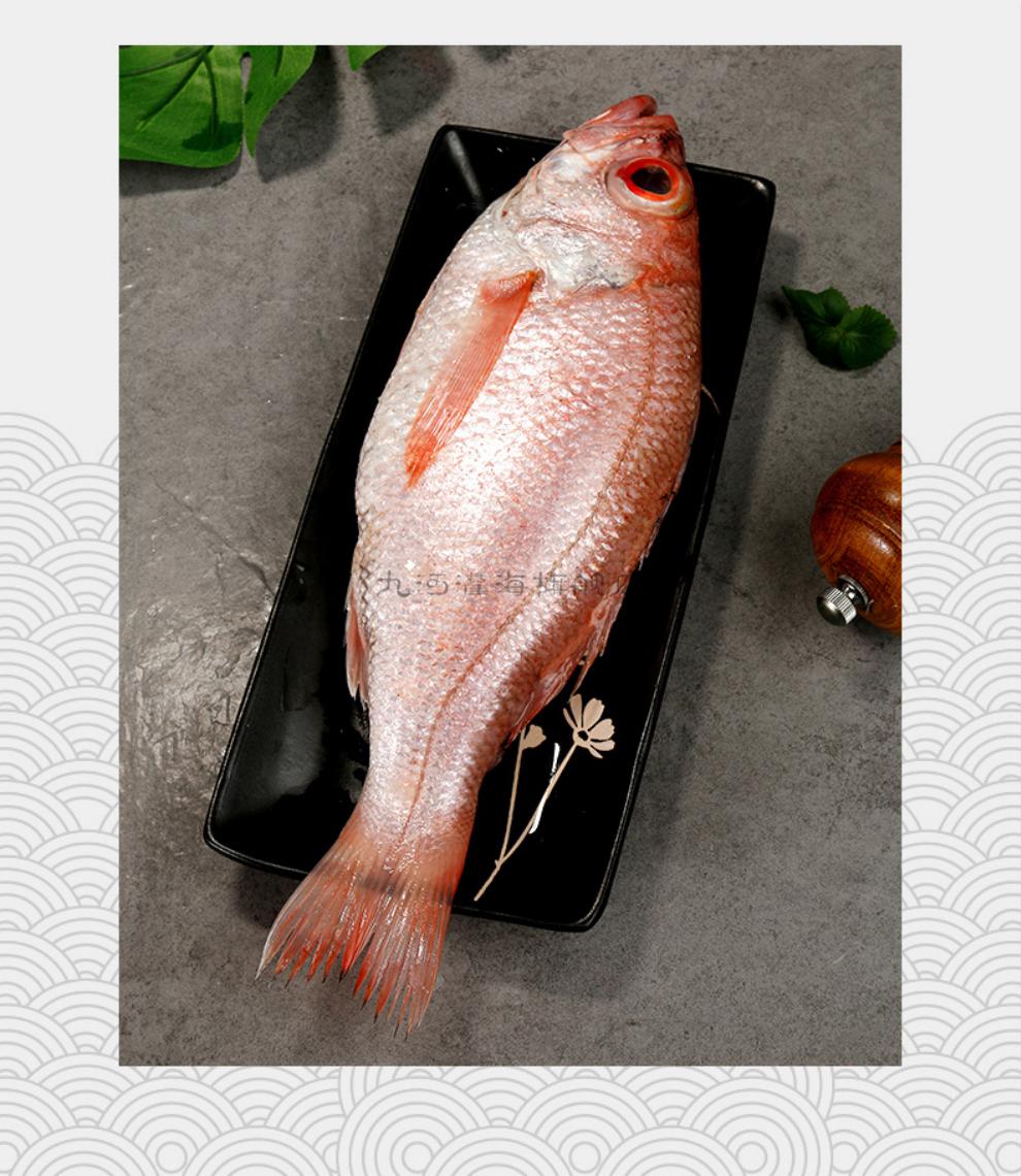 九河灌海旗舰店红果鲤新鲜速冻野生捕捞深海东海赤鯥鱼黑喉鱼3斤实惠