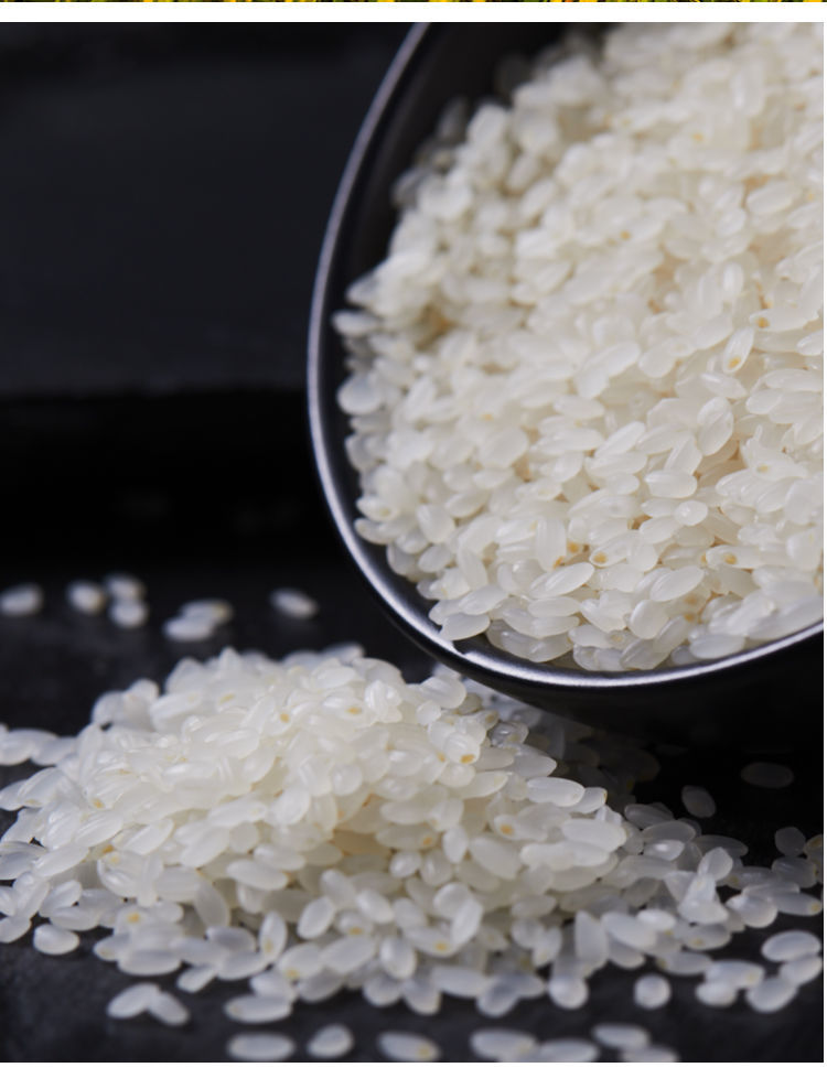 日本大米越光米25kg当季新米寿司米珍珠米粳米胚芽米东北大米5斤太极