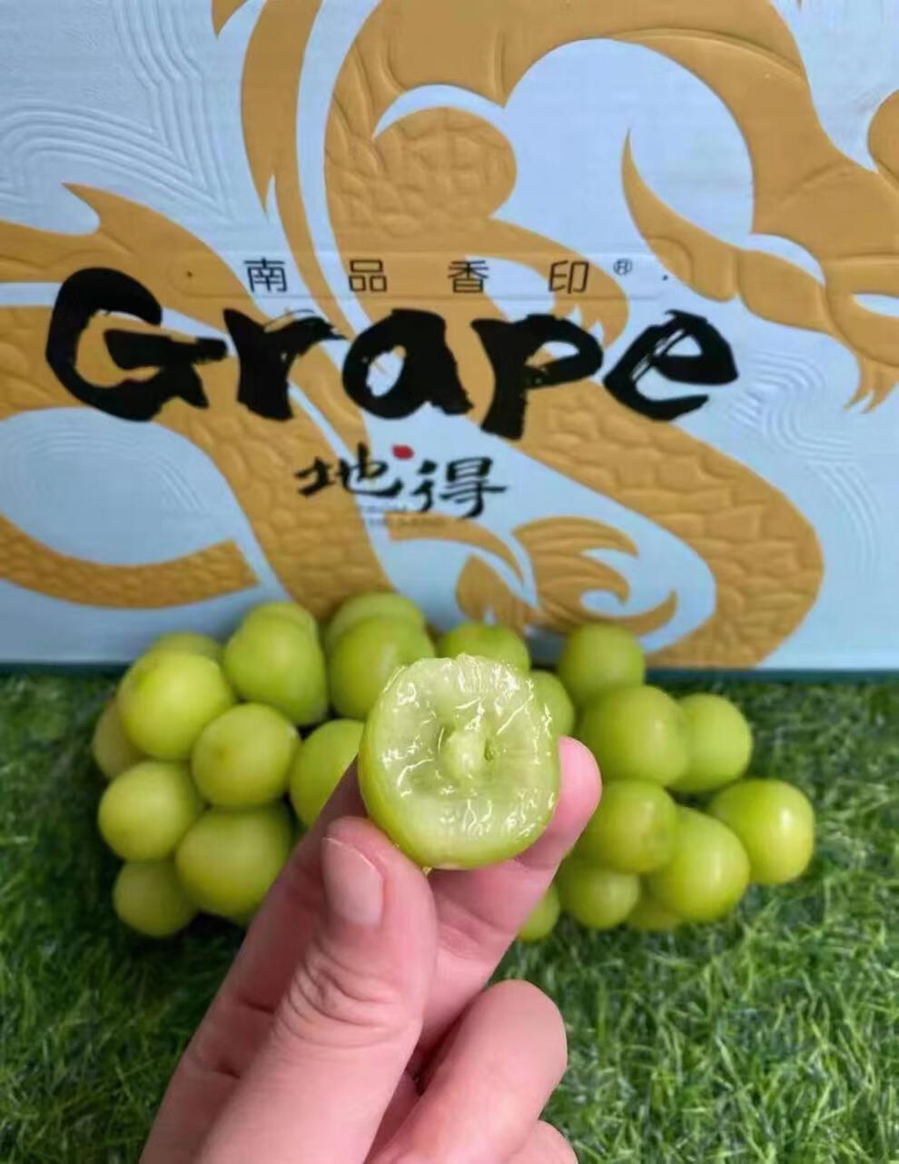 味蕾乐 地得晴王日本引进品种4.