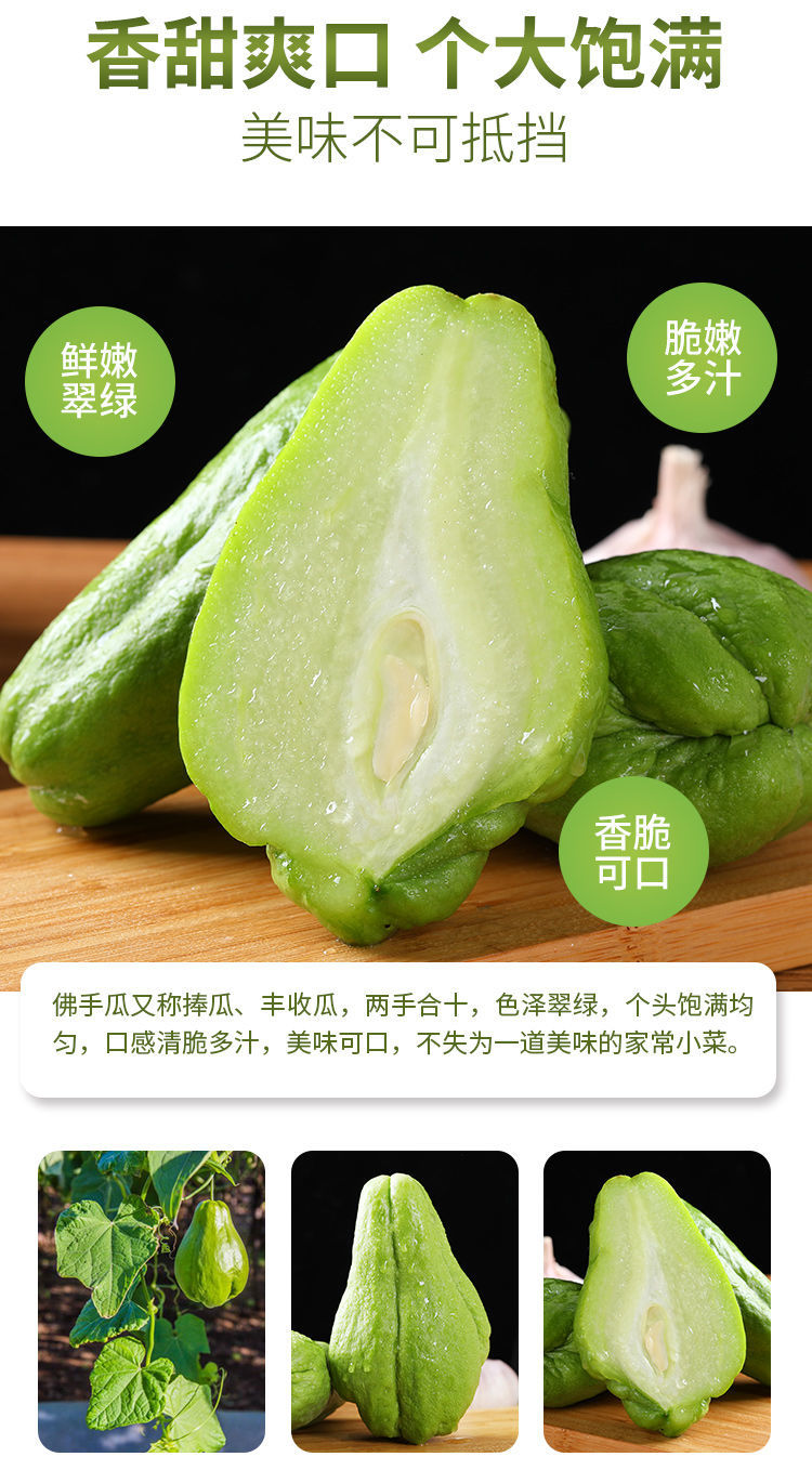 山东新鲜佛手瓜高山种植现摘当季整箱洋瓜丰收瓜福寿瓜批发 3斤