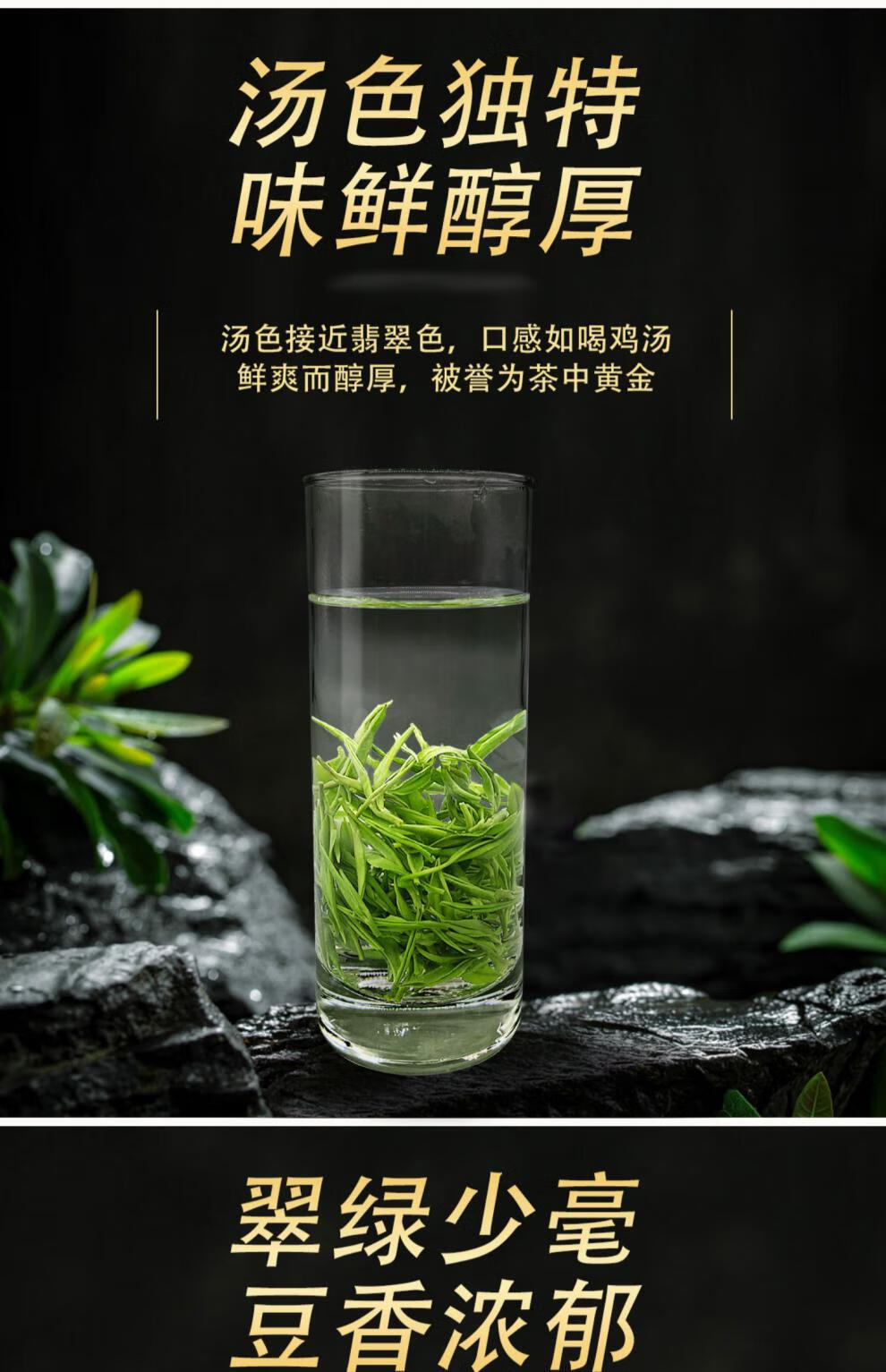 一克金茶叶产业图片