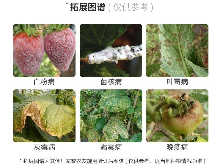 柯必达腐霉利烟熏雾剂大棚灰霉病专用药霜霉白粉病蔬菜瓜果树农药杀菌