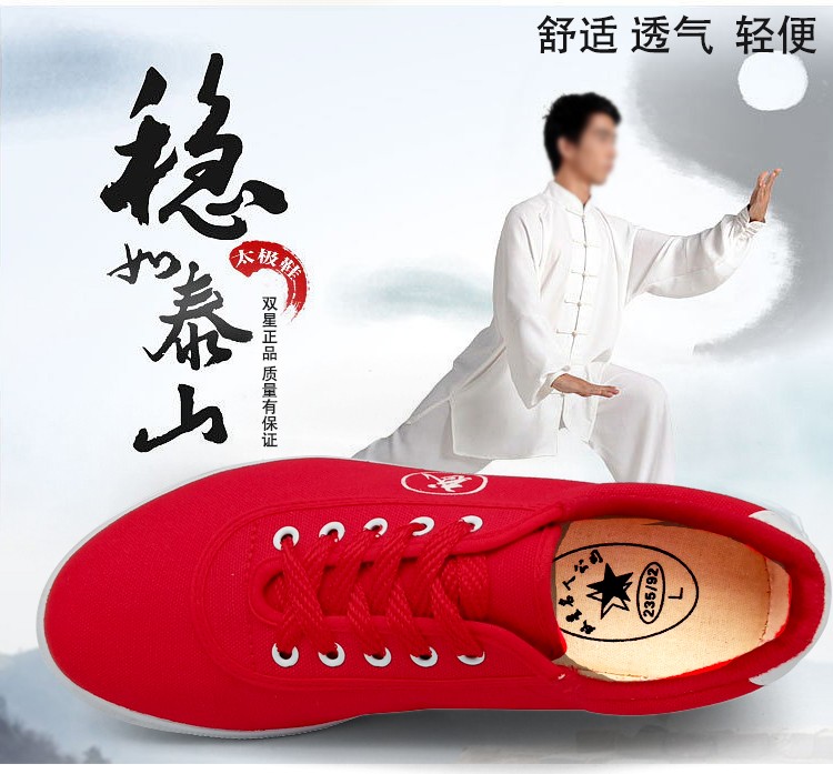 少林寺武僧鞋双星武术鞋少林武僧练功鞋儿童训练鞋跆拳道太极鞋男女