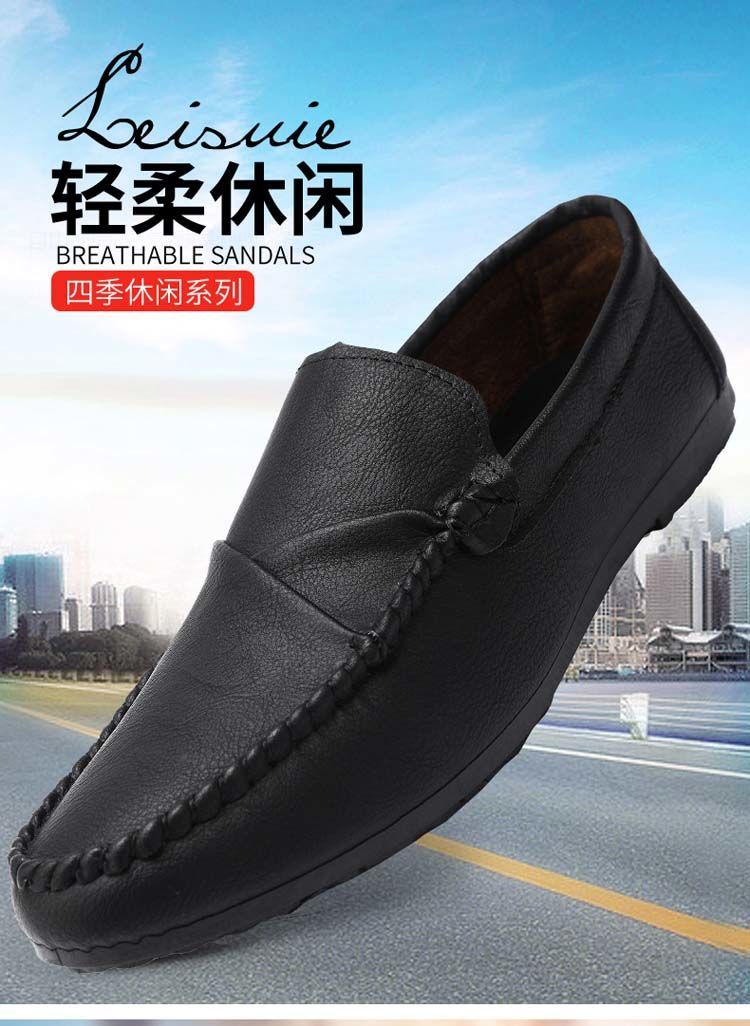6206f9679be78255.jpg
