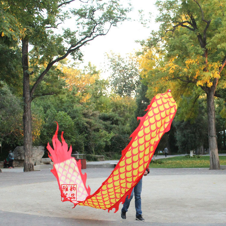 健身舞龙彩带甩龙龙飘带单人初学彩绸广场中老年绳甩球龙绸子2号5米