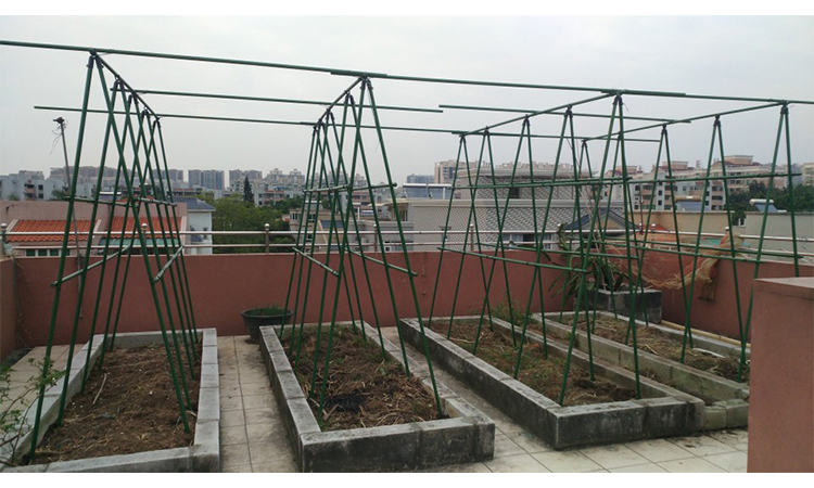 古之南园艺支架铁线莲攀爬架葡萄架阳台攀爬支架花架黄瓜爬藤架种植